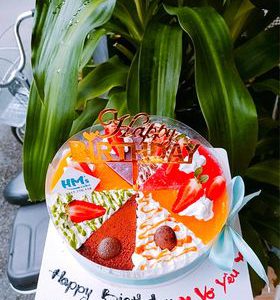 Mousse đủ vị 16cm-M2